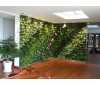 办公室植物墙，原木和绿植构建的天然办公空间-湖南立体绿化