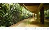 湖南植物墙存在的价值你知道吗？