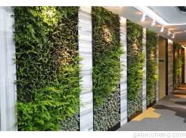 该如何正确的选择长沙植物墙材质，你知道吗？