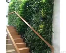 长沙植物墙